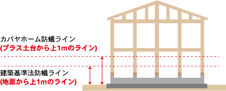 土台から上1mはすべて防腐防蟻処理